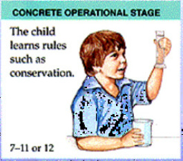 Concrete Operational Stage